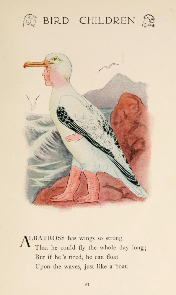 Bird Children 1912 Albatross Canvas Art - MT Ross (24 x 36)