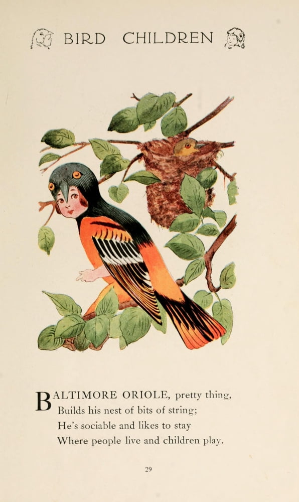 Bird Children 1912 Baltimore Oriole Canvas Art - MT Ross (18 x 24)