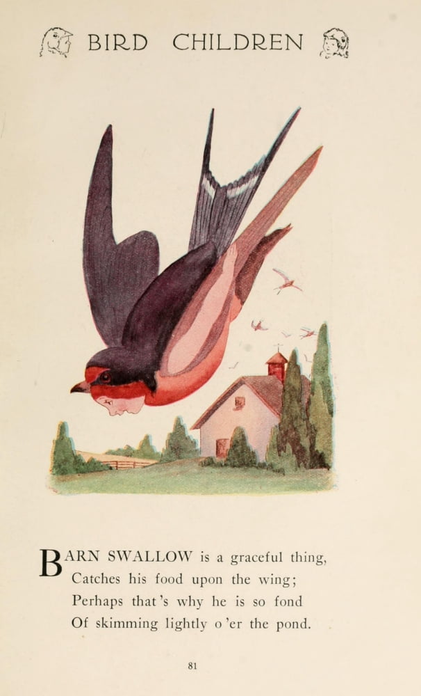 Bird Children 1912 Barn Swallow Canvas Art - MT Ross (18 x 24)