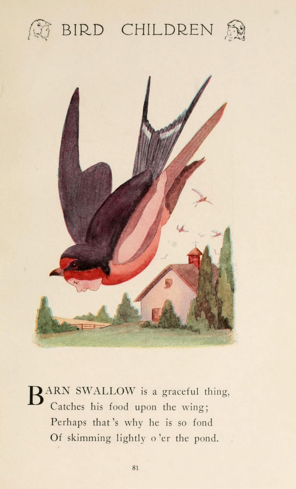 Bird Children 1912 Barn Swallow Canvas Art - MT Ross (24 x 36)