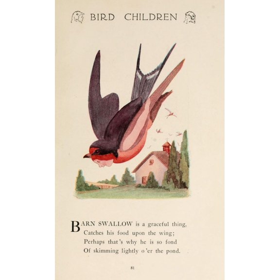 Bird Children 1912 Barn Swallow Poster Print by M.T. Ross