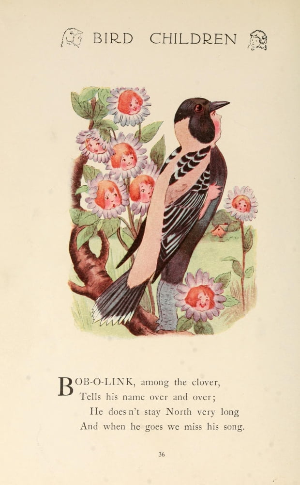 Bird Children 1912 Bob-o-link Canvas Art - MT Ross (24 x 36)