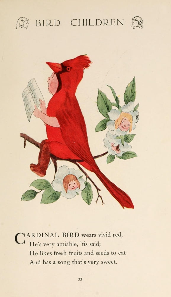 Bird Children 1912 Cardinal Bird Canvas Art - MT Ross (18 x 24)