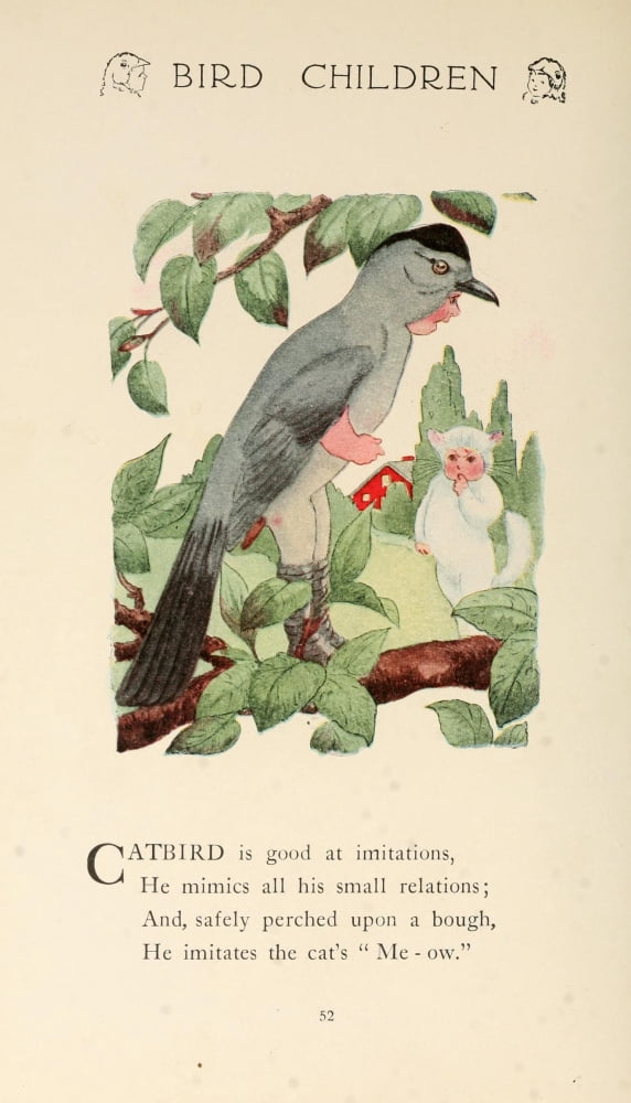 Bird Children 1912 Catbird Canvas Art - MT Ross (18 x 24)