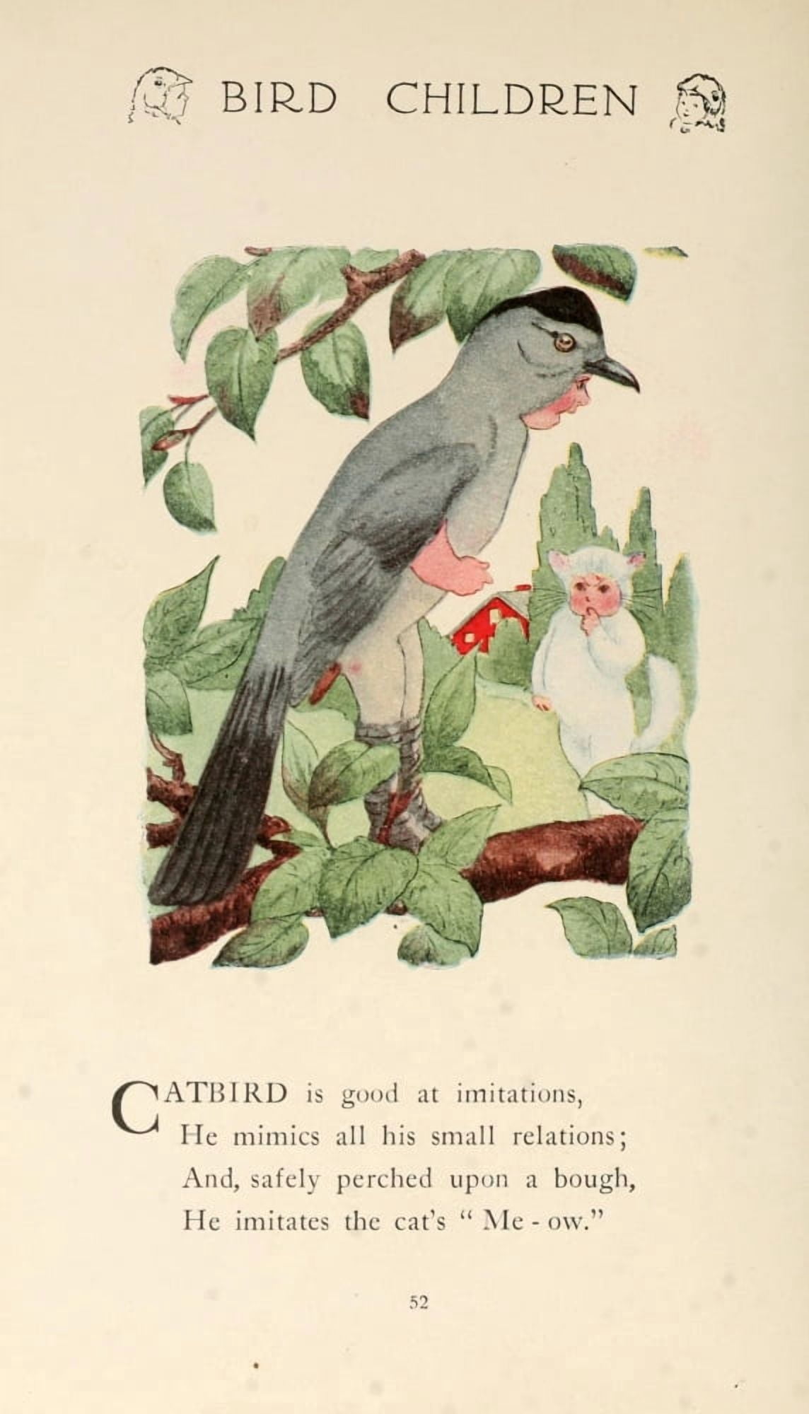 Bird Children 1912 Catbird Canvas Art - MT Ross (24 x 36)