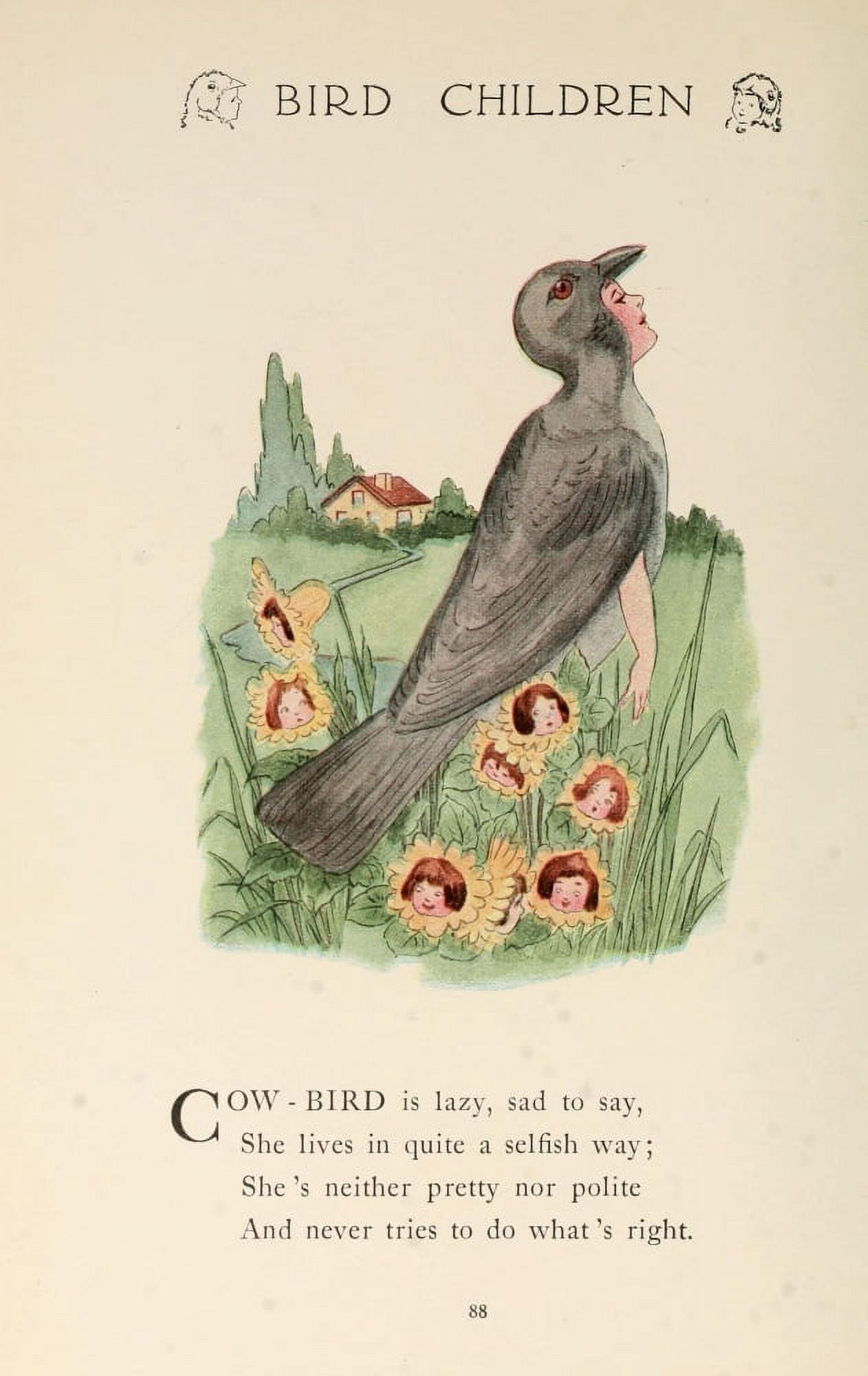 Bird Children 1912 Cow-bird Canvas Art - MT Ross (18 x 24)