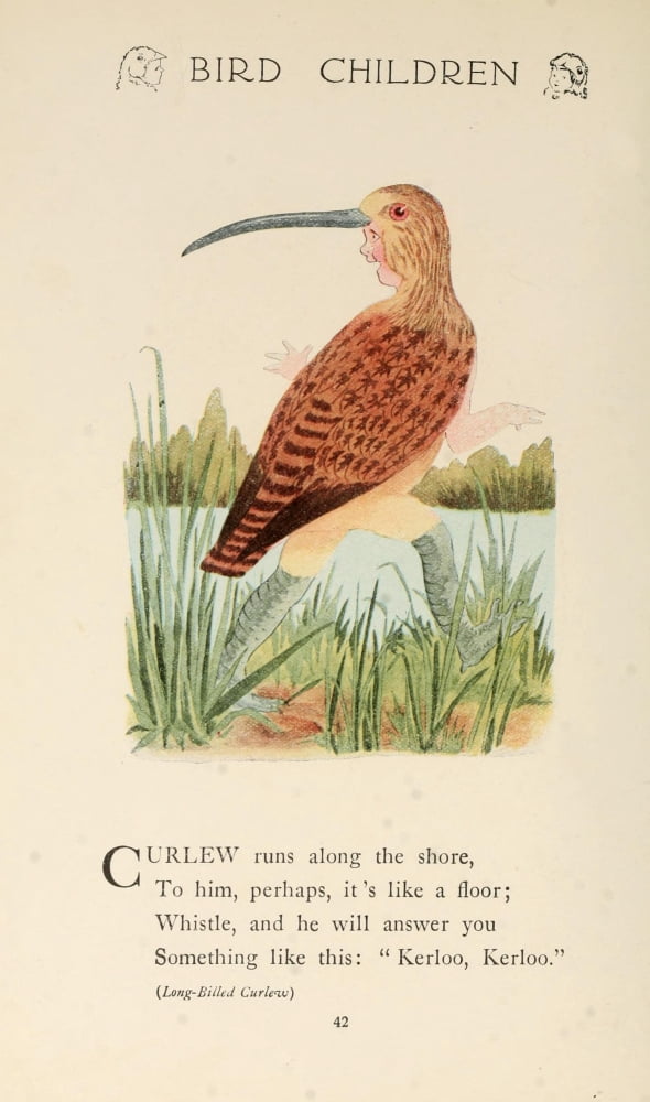 Bird Children 1912 Curlew Canvas Art - MT Ross (18 x 24)