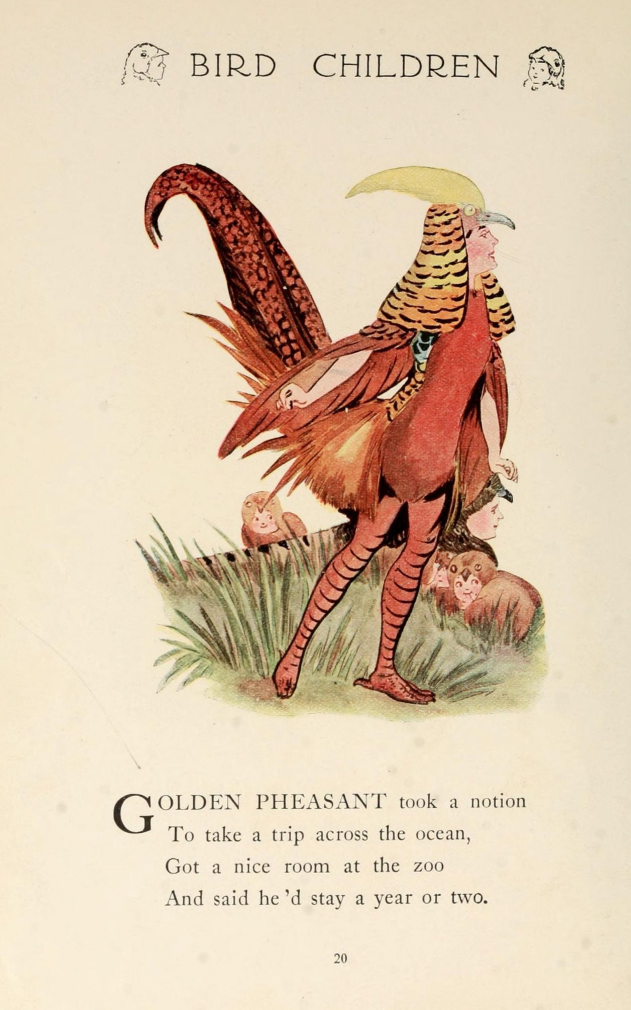 Bird Children 1912 Golden Pheasant Canvas Art - MT Ross (18 x 24)