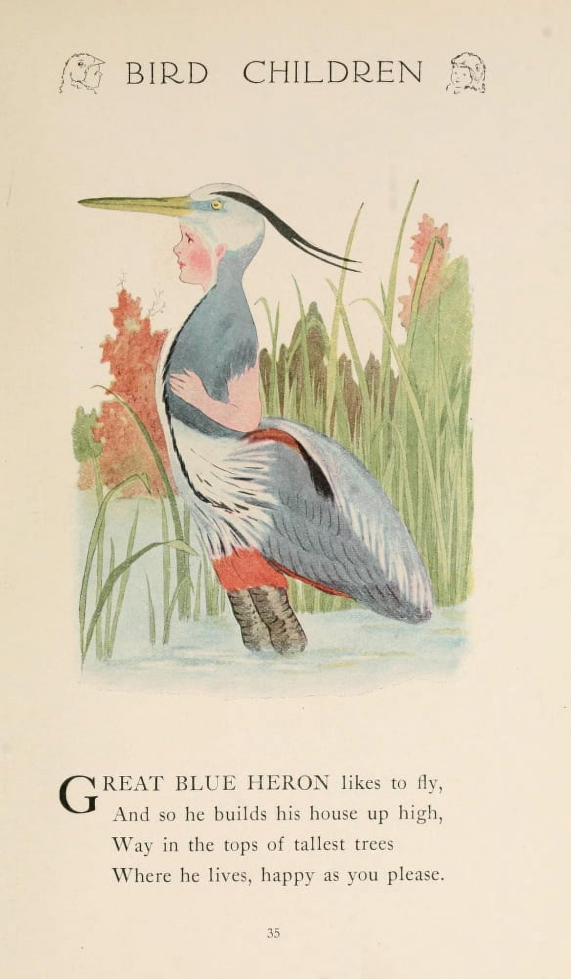 Bird Children 1912 Great Blue Heron Canvas Art - MT Ross (24 x 36)