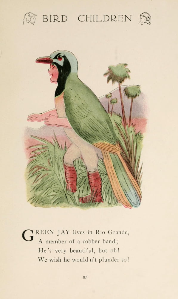 Bird Children 1912 Green Jay Canvas Art - MT Ross (24 x 36)