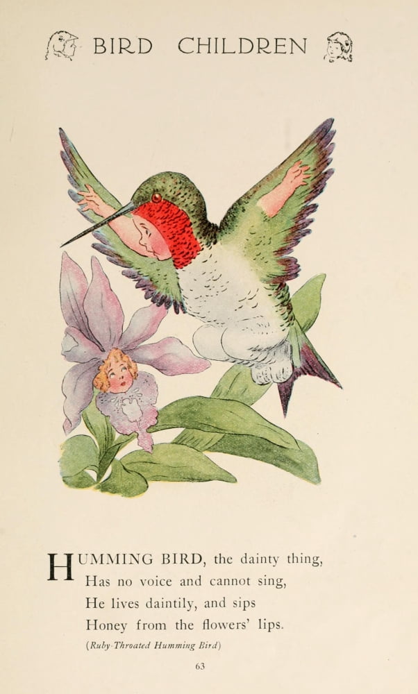 Bird Children 1912 Humming Bird Canvas Art - MT Ross (24 x 36)