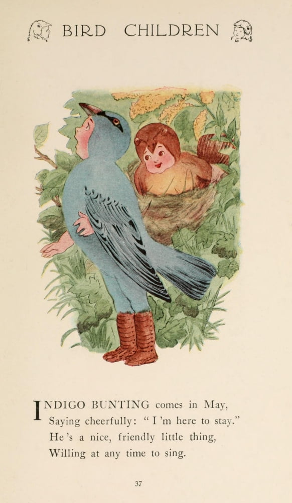 Bird Children 1912 Indigo Bunting Canvas Art - MT Ross (24 x 36)