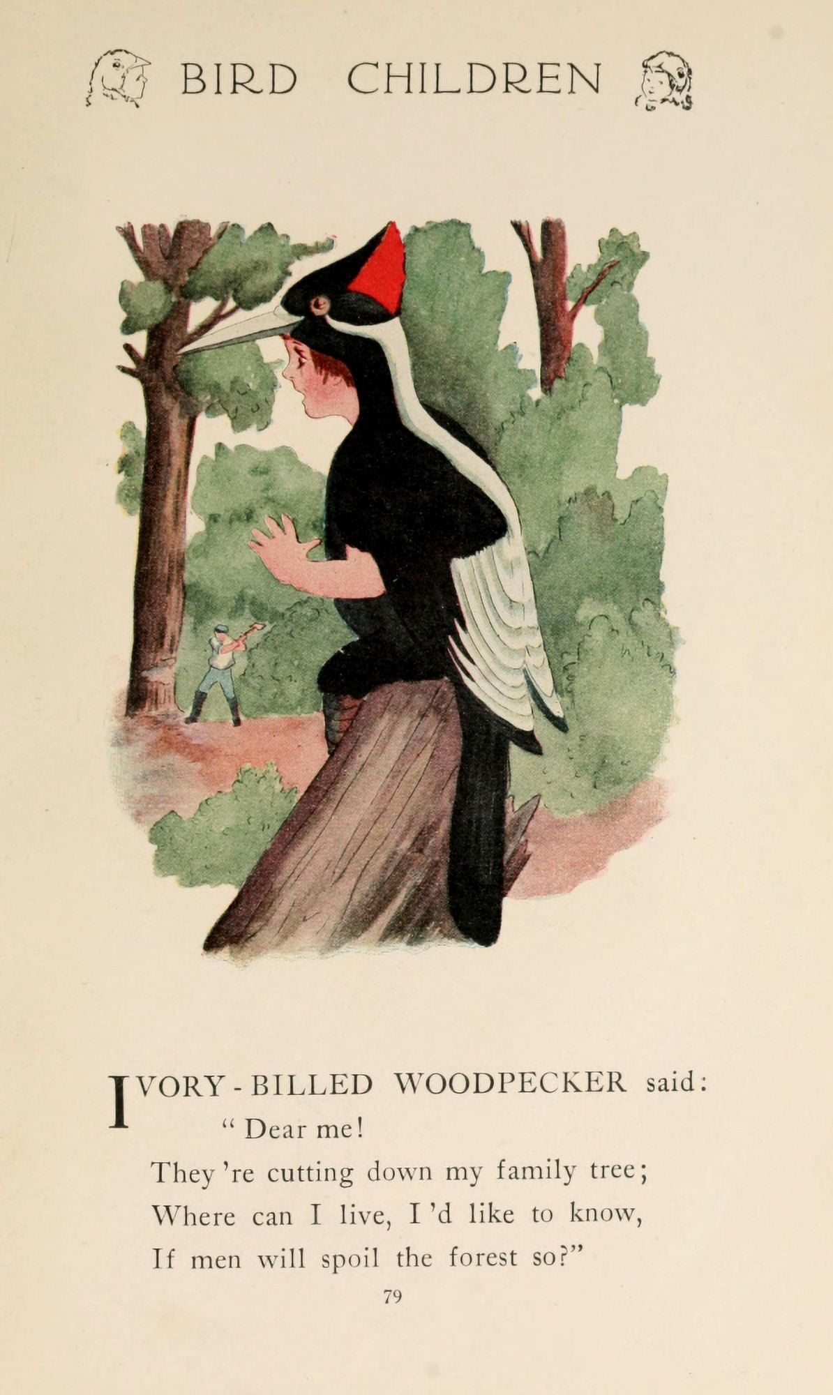 Bird Children 1912 Ivory-billed Woodpecker Canvas Art - MT Ross (24 x 36)