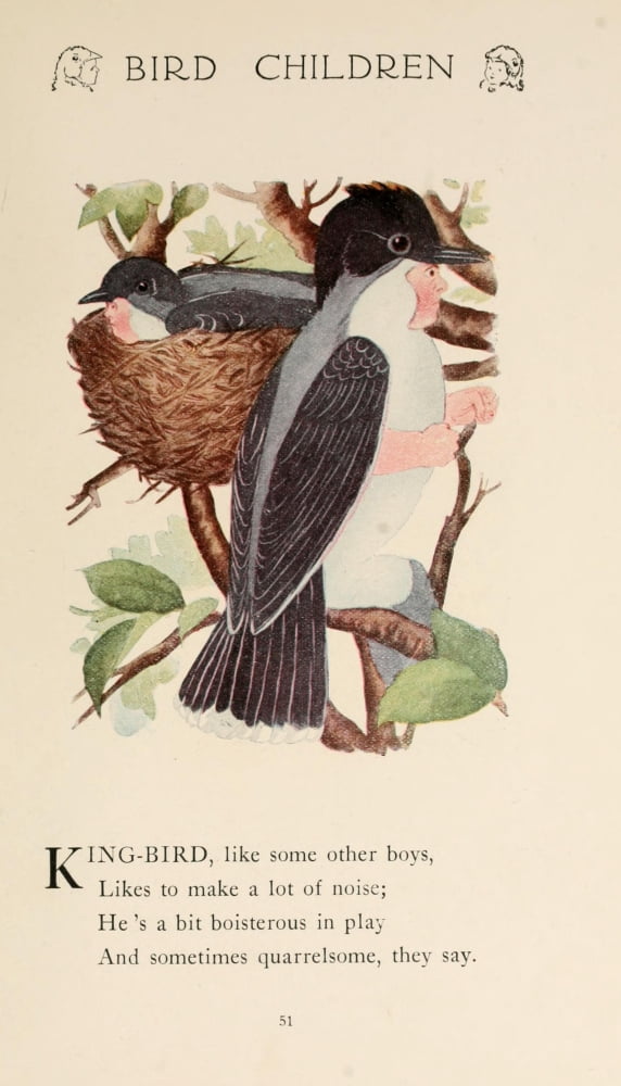 Bird Children 1912 King-bird Canvas Art - MT Ross (18 x 24)
