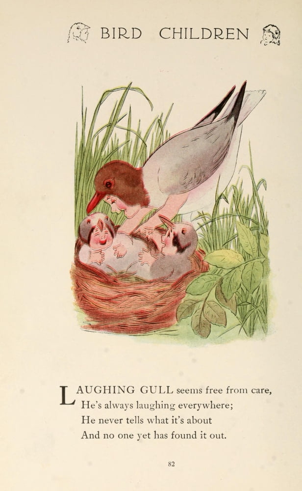 Bird Children 1912 Laughing Gull Canvas Art - MT Ross (18 x 24)