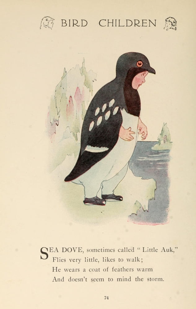 Bird Children 1912 Little Auk Canvas Art - MT Ross (18 x 24)