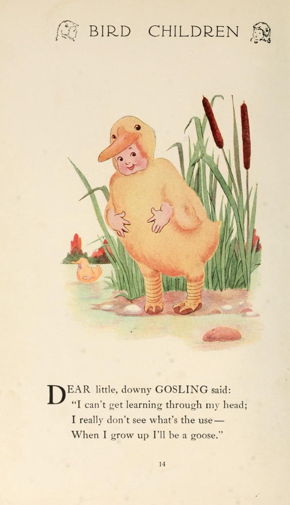 Bird Children 1912 Little Downy Gosling Canvas Art - MT Ross (24 x 36)