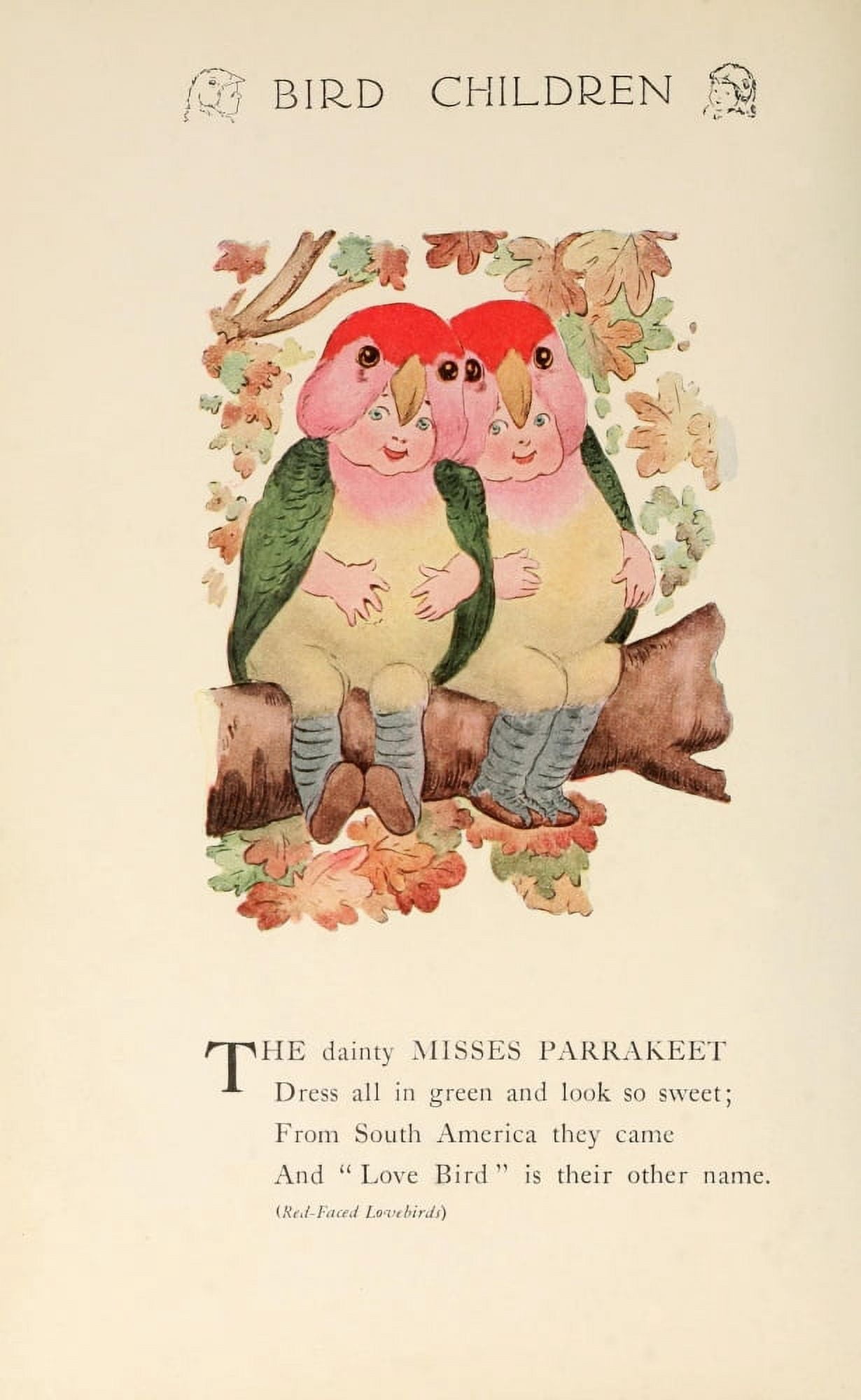 Bird Children 1912 Misses Parrakeet Canvas Art - MT Ross (24 x 36)