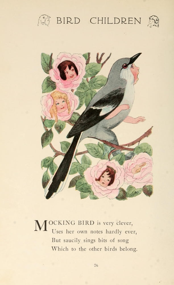 Bird Children 1912 Mocking bird Canvas Art - MT Ross (18 x 24)