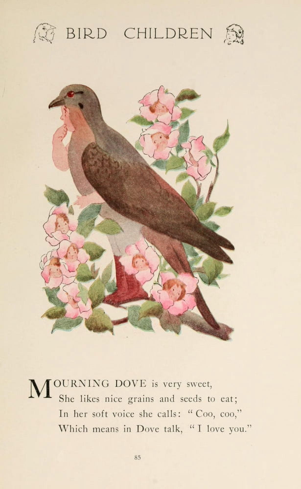 Bird Children 1912 Mourning Dove Canvas Art - MT Ross (24 x 36)