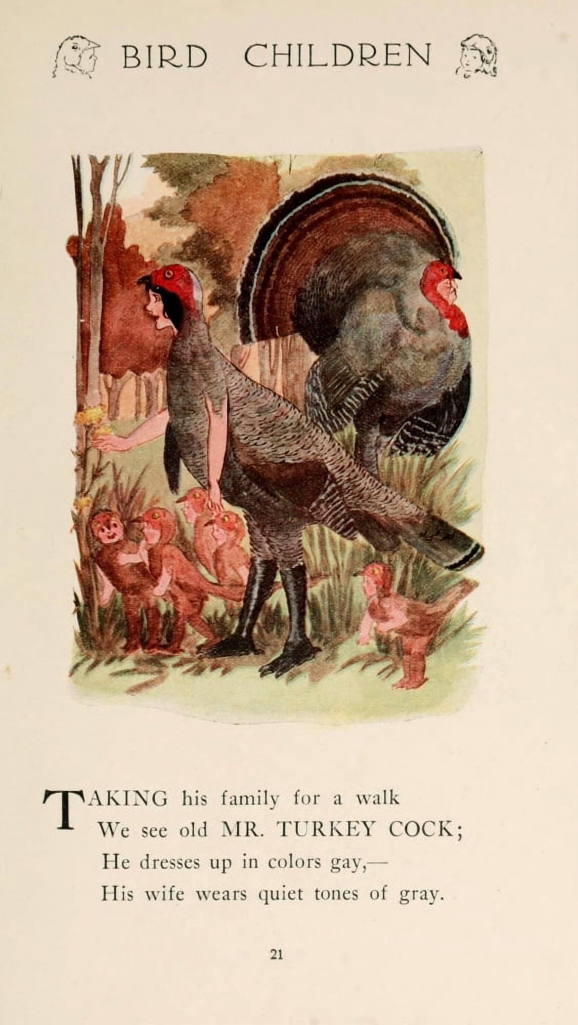 Bird Children 1912 Mr Turkey Cock Canvas Art - MT Ross (24 x 36)