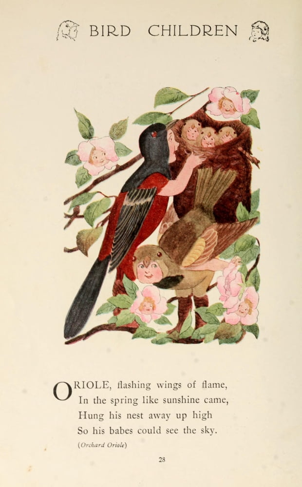 Bird Children 1912 Oriole Canvas Art - MT Ross (18 x 24)