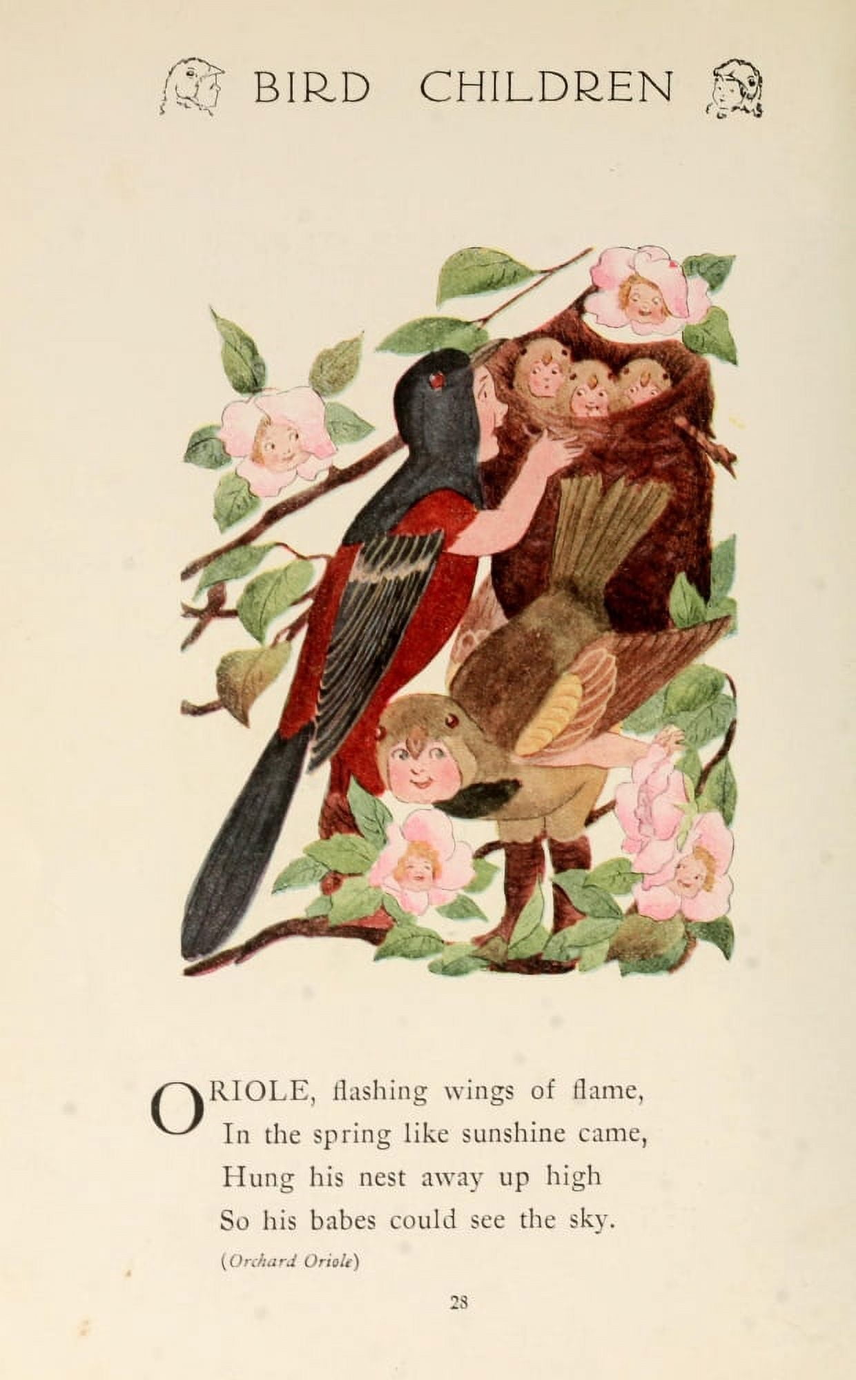 Bird Children 1912 Oriole Canvas Art - MT Ross (24 x 36)
