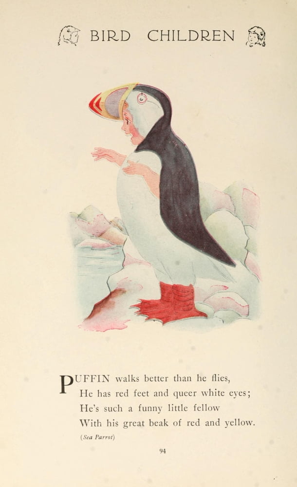 Bird Children 1912 Puffin Canvas Art - MT Ross (18 x 24)