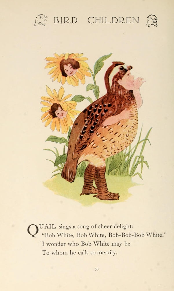 Bird Children 1912 Quail Canvas Art - MT Ross (18 x 24)