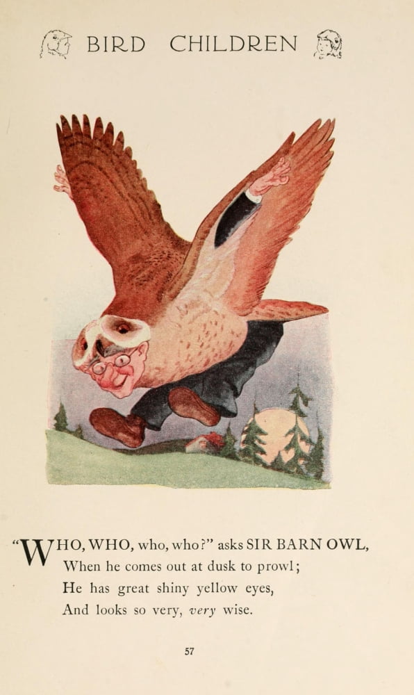 Bird Children 1912 Sir Barn Owl Canvas Art - MT Ross (18 x 24)