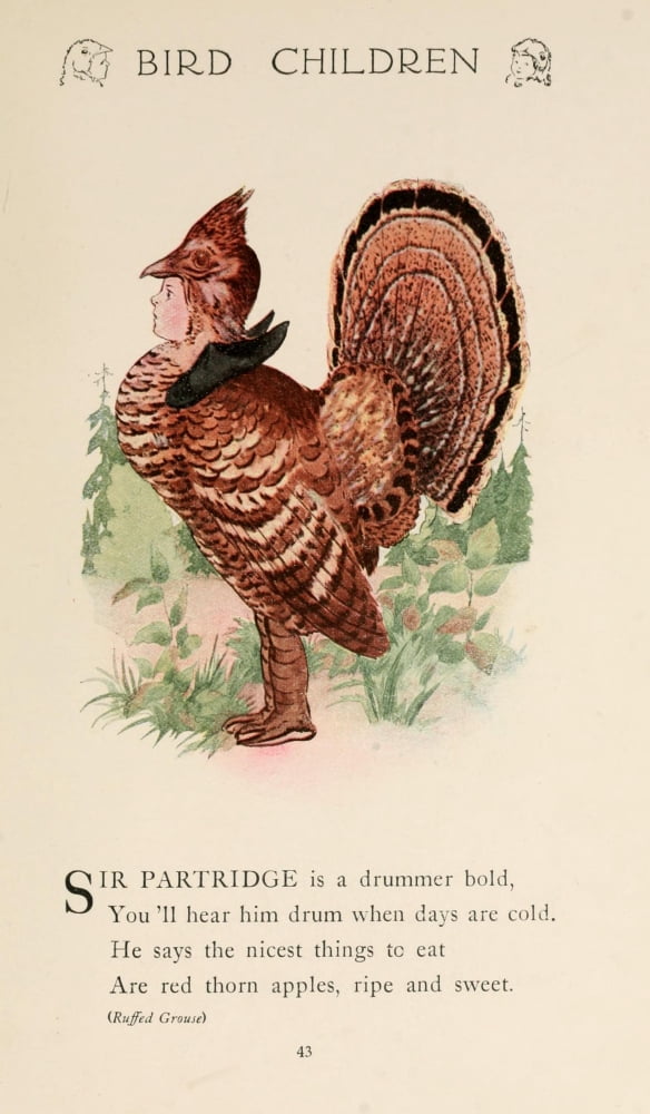 Bird Children 1912 Sir Partridge Canvas Art - MT Ross (18 x 24)