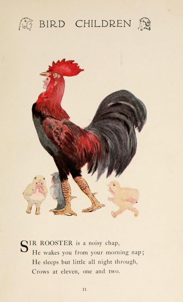 Bird Children 1912 Sir Rooster Canvas Art - MT Ross (24 x 36)