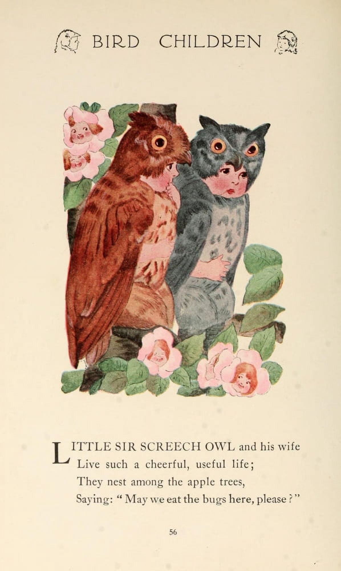 Bird Children 1912 Sir Screech Owl Canvas Art - MT Ross (24 x 36)