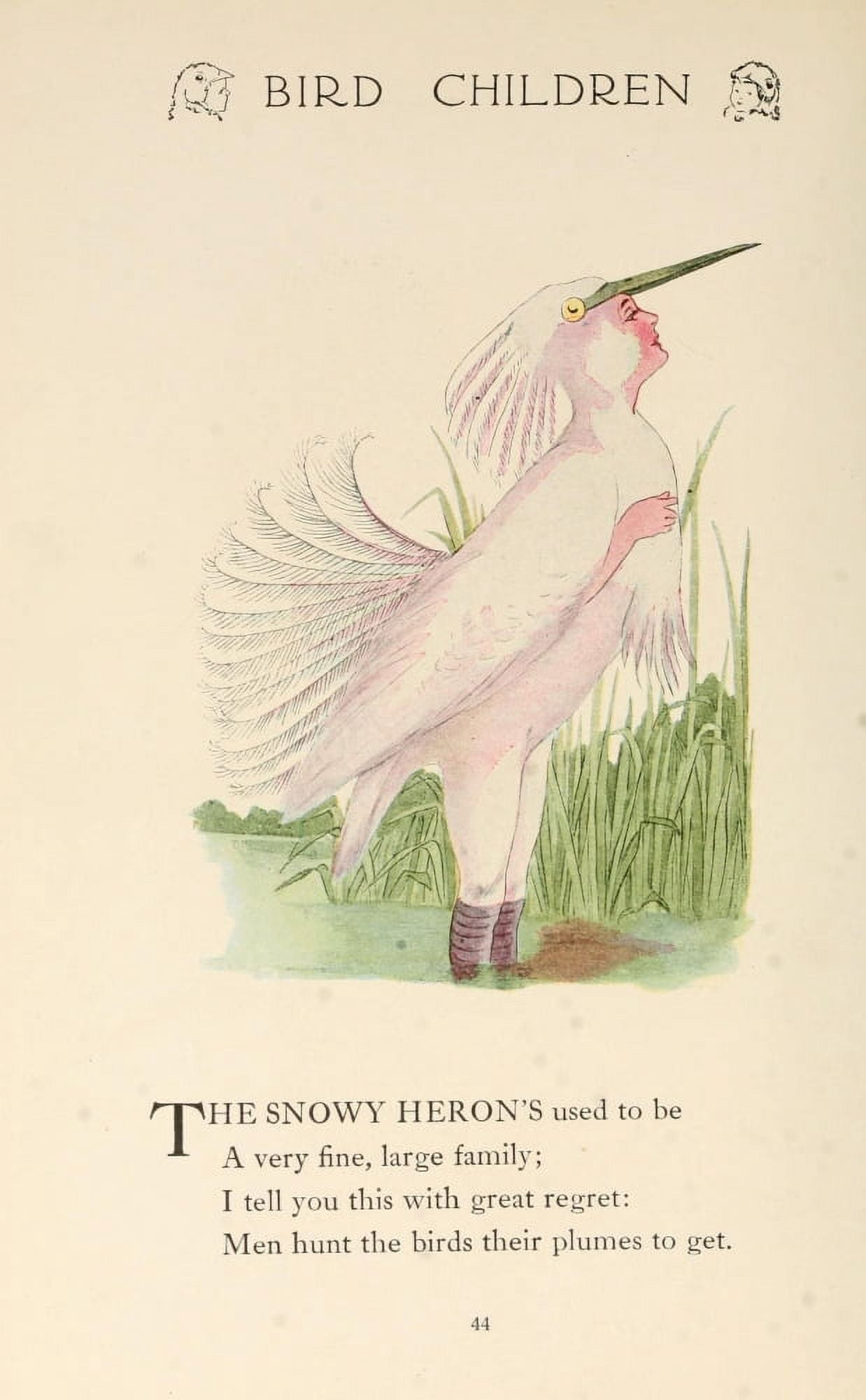 Bird Children 1912 Snowy Heron Canvas Art - MT Ross (24 x 36)