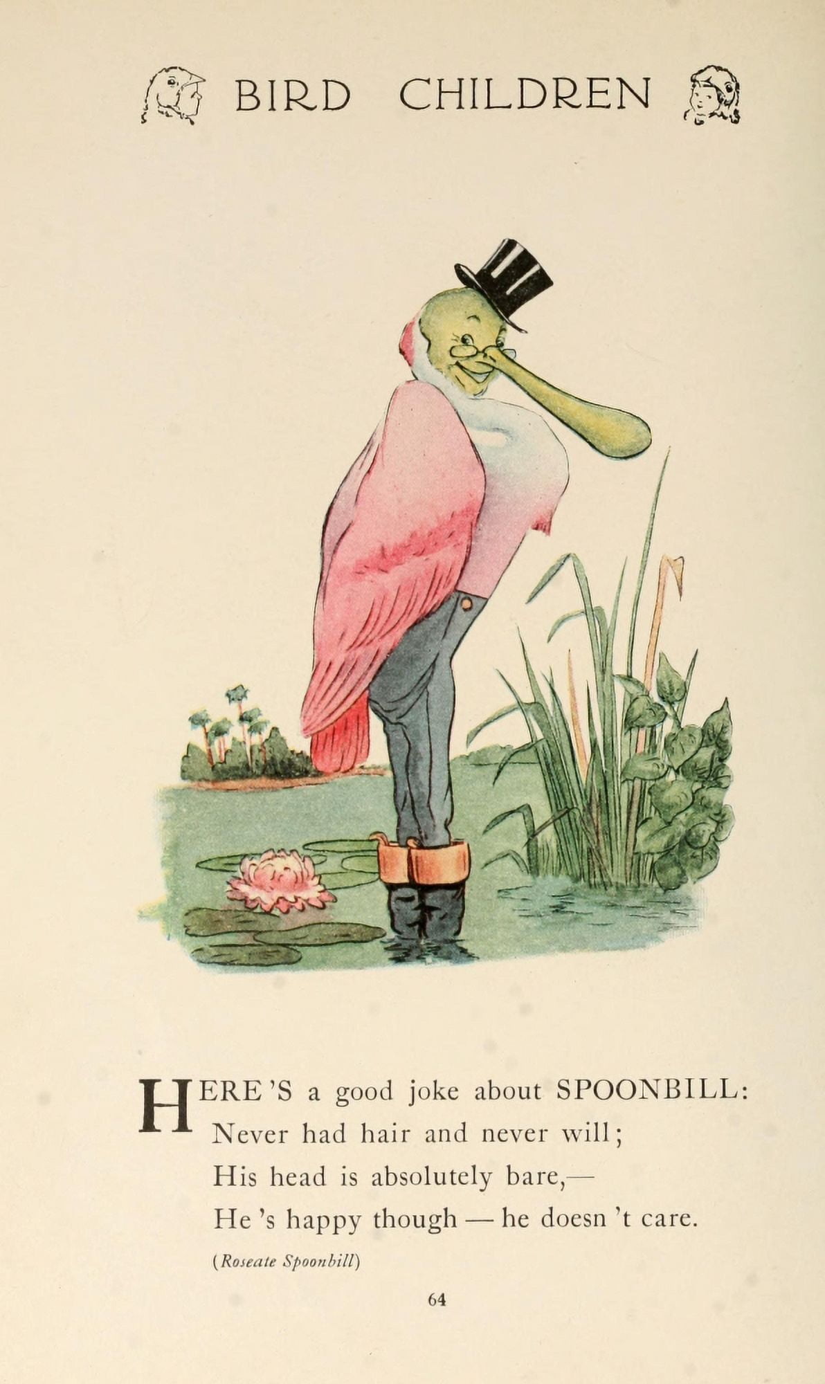 Bird Children 1912 Spoonbill Canvas Art - MT Ross (18 x 24)