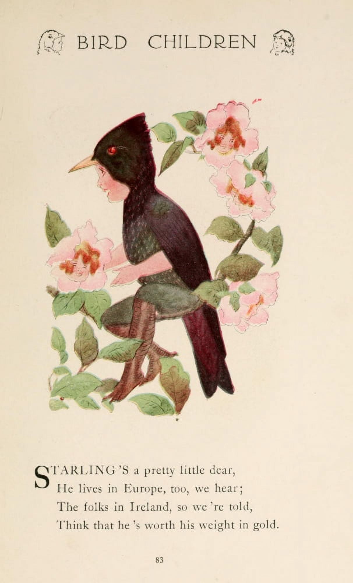 Bird Children 1912 Starling Canvas Art - MT Ross (18 x 24)