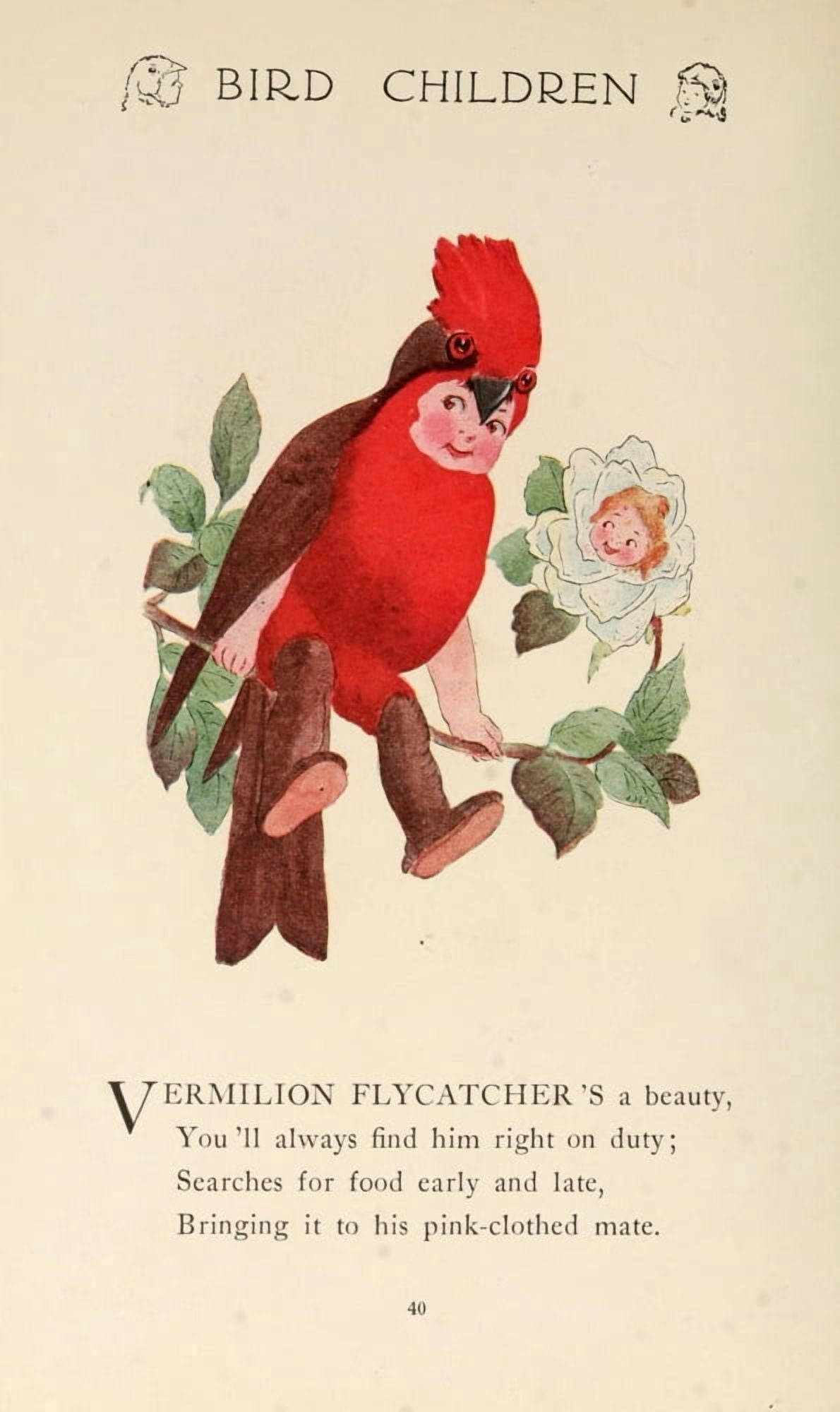 Bird Children 1912 Vermilion Flycatcher Canvas Art - MT Ross (18 x 24)
