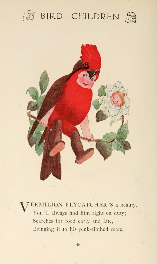 Bird Children 1912 Vermilion Flycatcher Canvas Art - MT Ross (24 x 36)