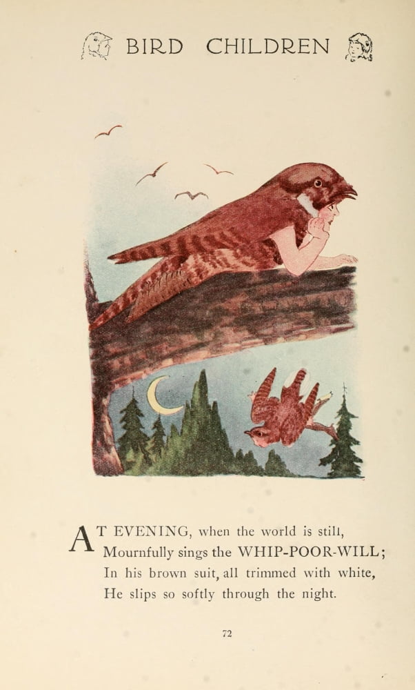 Bird Children 1912 Whip-poor-will Canvas Art - MT Ross (24 x 36)