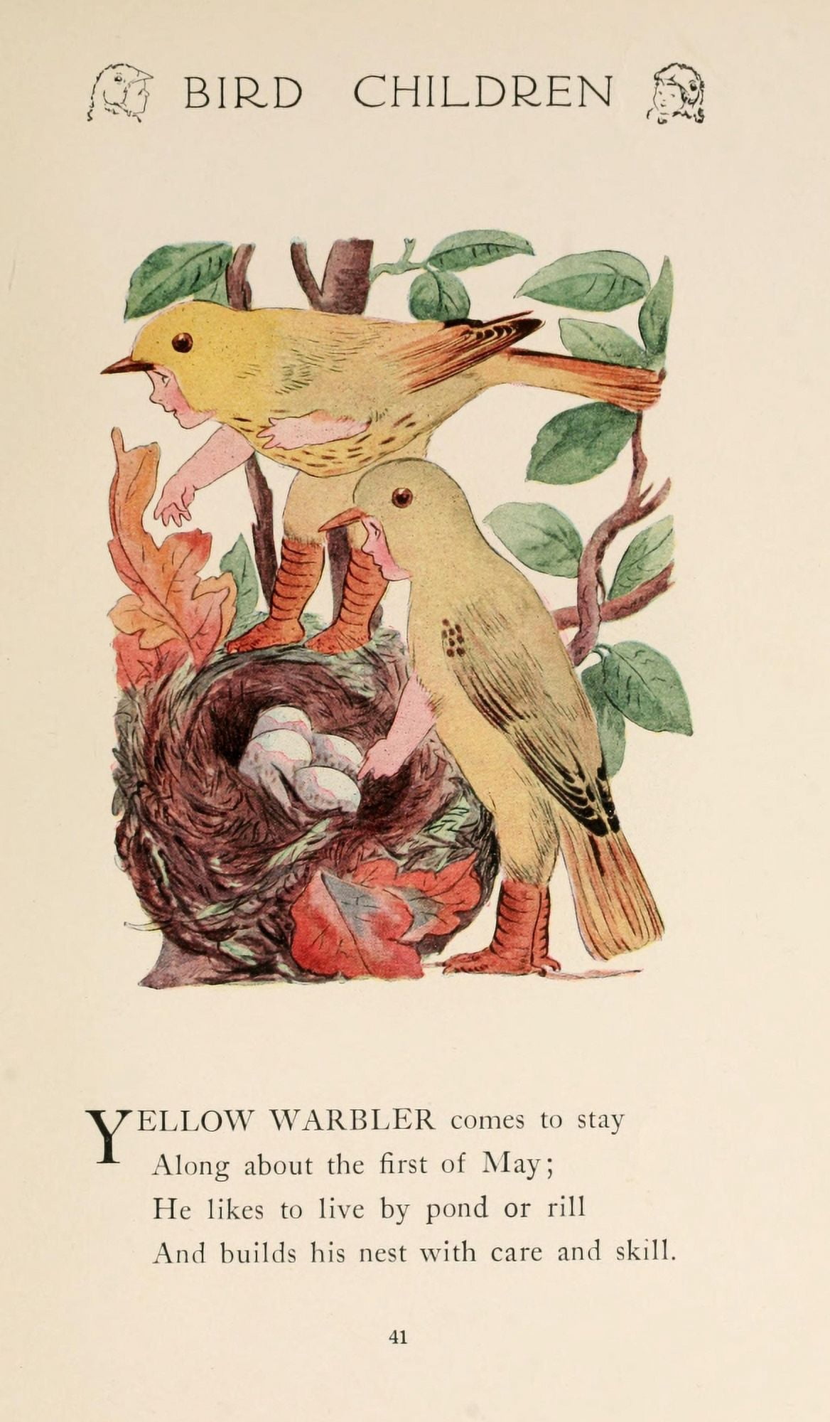 Bird Children 1912 Yellow Warbler Canvas Art - MT Ross (18 x 24)