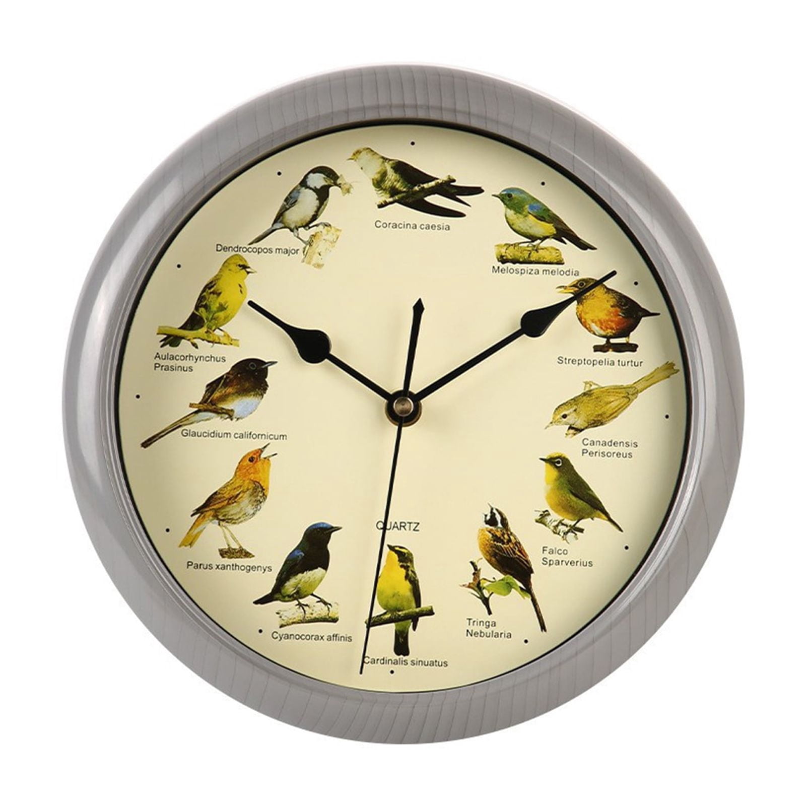 Bird Clock 10'' Round Bird Clock That Sings on Hour, Sound with 12 Pattern Wall for Christmas Home Office Christmas Decor (Without Battery)