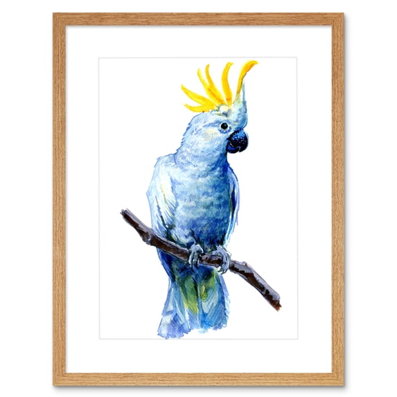 Bird Cockatoo Painting Art Print Framed Poster Wall Decor 9x7 inch