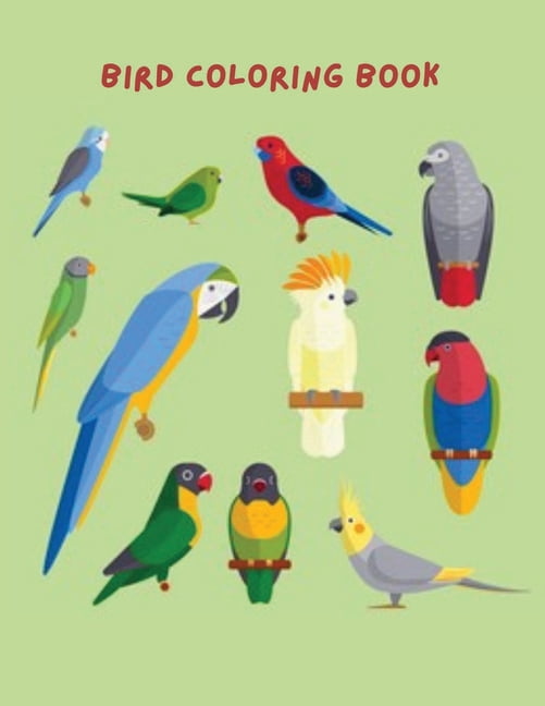 Bird Coloring Book : More than 45 Unique and Fun Images of Birds (Paperback)