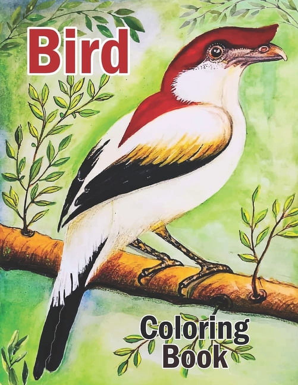 Birds Color By Numbers for Adults: Activity Coloring Book for Adults Relaxation and Stress Relief [Book]