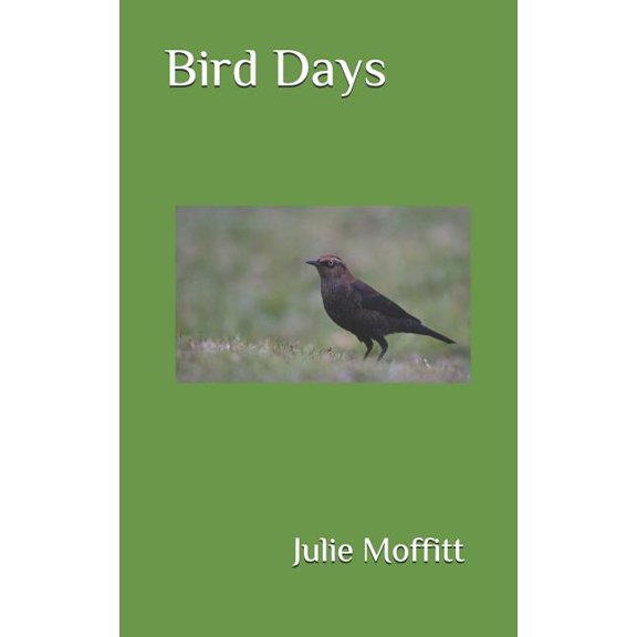 Bird Days (Paperback)