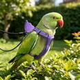 thumbnail image 1 of Bird Diaper Harness Flight Suit Clothes, Parrot Flight Suit with Leash for Parrot, Bird Flying Clothes with Rope and Handle for Outdoor Activities Training, 1 of 6