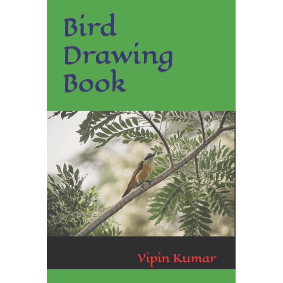 Bird Drawing Book (Paperback)
