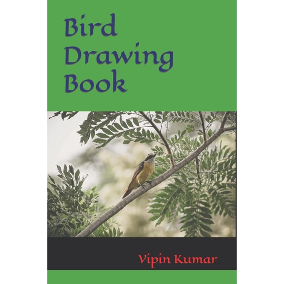 Bird Drawing Book (Paperback)