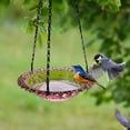 thumbnail image 1 of Bird Feeder Birdbaths, Bird Feeder Tray Bird Water Feeder for Window, Bird Feeders Outside Hanging, Hummingbird Feeder for Patio(1PCS), 1 of 6