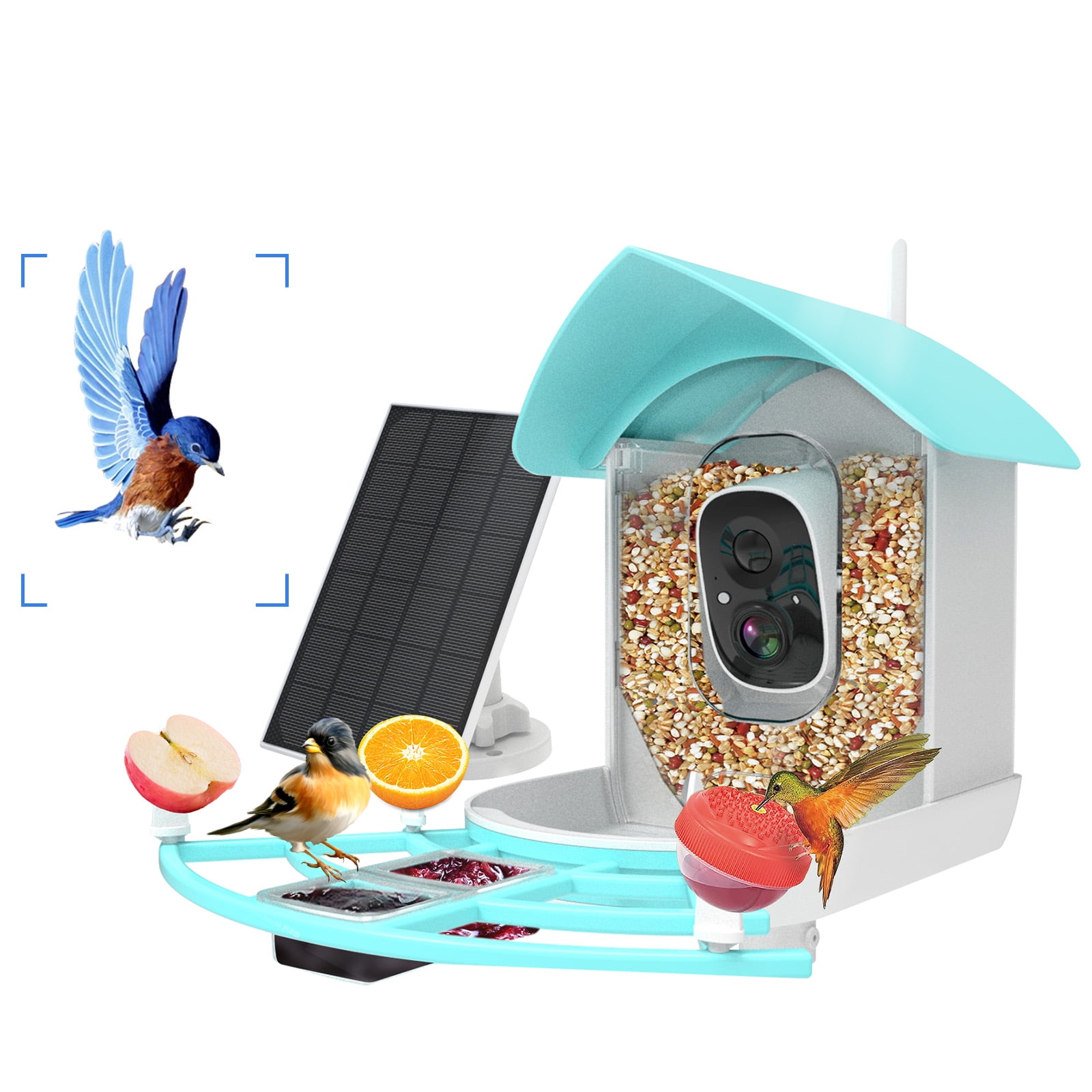 Bird Feeder with Camera, 1080HD Smart Bird Feeder with PIR Motion